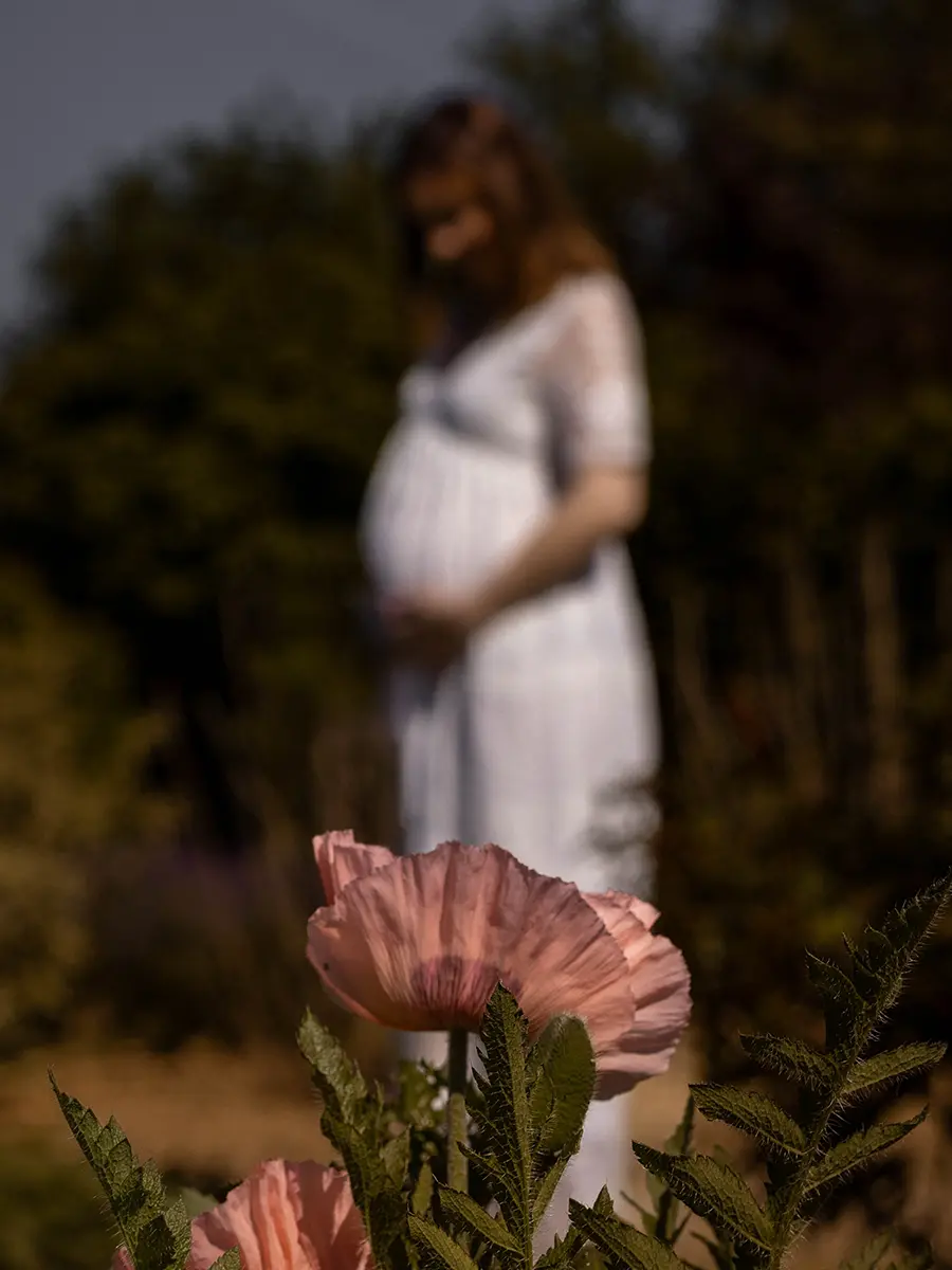 Fleurs roses en premier plan net avec la silhouette floue d'une femme enceinte en robe blanche en arrière-plan